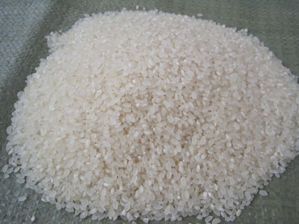圓粒