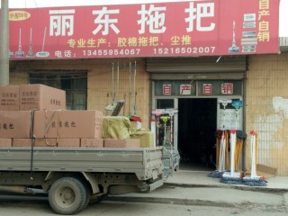 丽东拖把