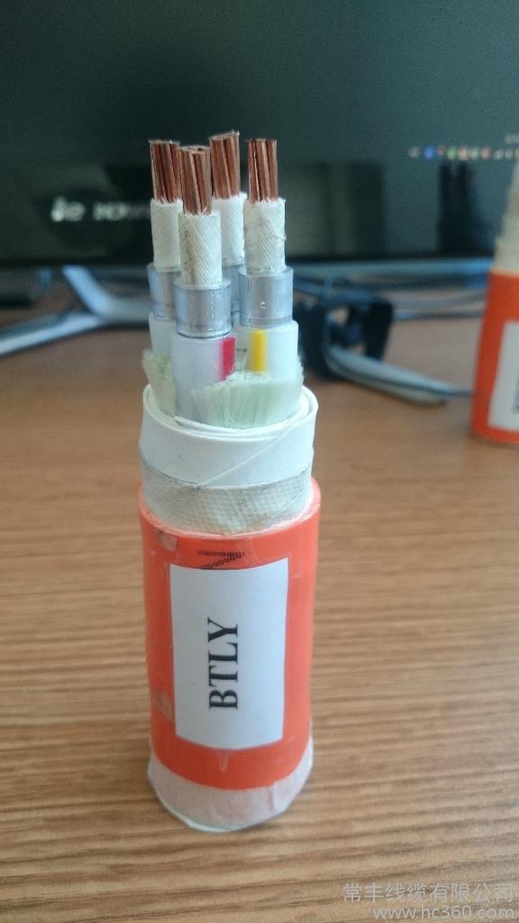 BTLY (NG-A) 矿物质绝缘柔性防火电缆1
