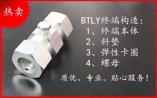 BTLY电缆终端头 3