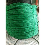 绿绳