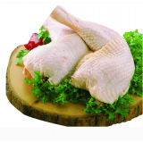 冻品禽类（团膳）