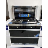 莱普帝斯高端厨电