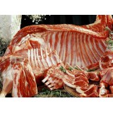 蒙山散养黑山羊