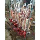 蒙山散养黑山羊