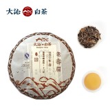 大沁白茶 2013年春 老寿眉