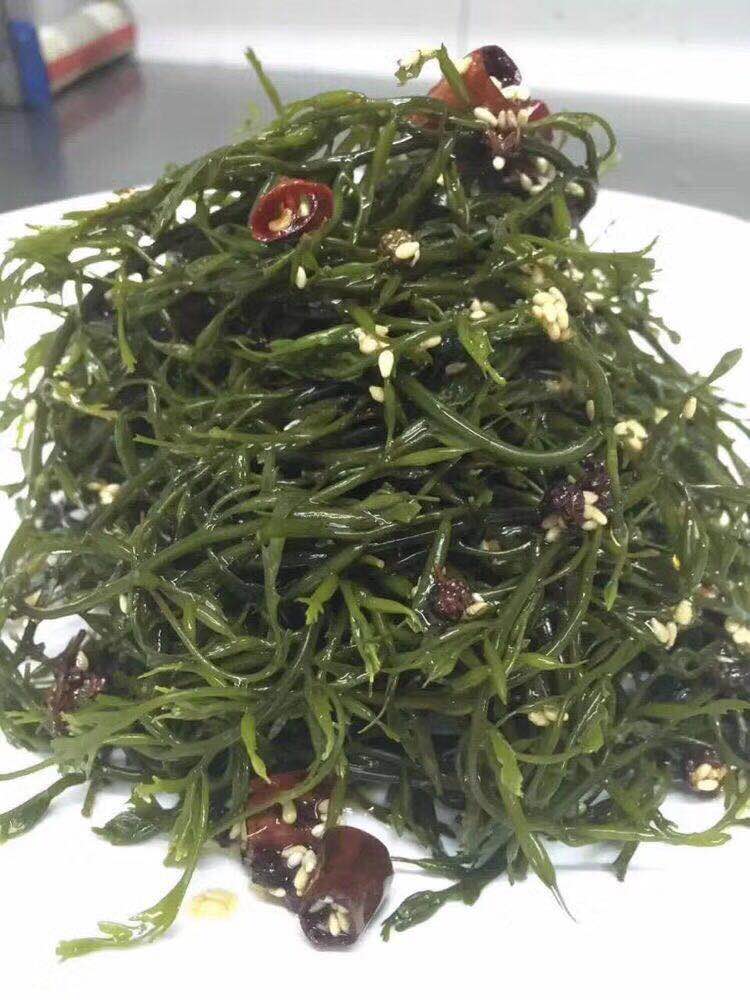 马尾藻