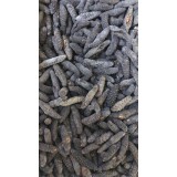 土耳其进口纯野生米刺参