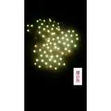 亮品光电17861610509