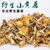 东北野生蘑菇