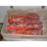 波士顿龙虾