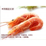 阿根廷红虾