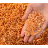 野生海米  虾皮