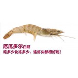 厄瓜多尔野生白虾