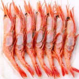 进口北极甜虾