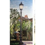 阳光照明0539-8018122