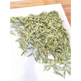 安吉白茶头采