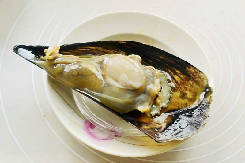 带子贝