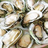 生蚝