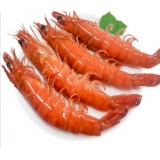 泰国黑虎虾