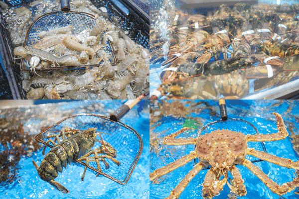 也要天天开门营业,  方法:点击扫一扫,分享微信朋友圈,qq空间都可以