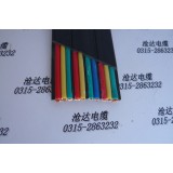 行车扁电缆