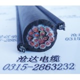 电动葫芦控制线 TR