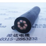 多芯控制线 TVVR