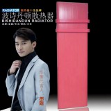 波诗丹顿·散热器13455936562