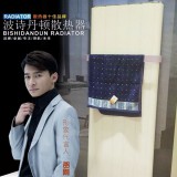 波诗丹顿·散热器13455936562