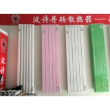 波诗丹顿·散热器13455936562