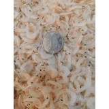 淡干虾皮（中号b）