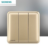 西门子皓睿二开单（金）