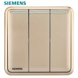 西门子皓睿二开双（金）荧光