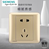 西门子皓睿五孔（金）