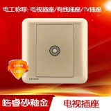 西门子皓睿电视（金）