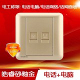 西门子皓睿电话电脑（金）