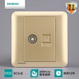 西门子皓睿电视电脑（金）