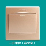 西门子品宜一开单（金）