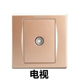 西门子品宜电视（金）