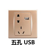 西门子品宜五孔USB（金）