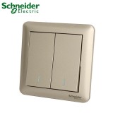 施耐德畅意二开双（金）