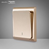 施耐德轻逸一开双（金）