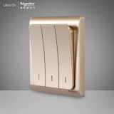 施耐德轻逸三开双（金）