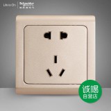 施耐德轻逸五孔（金）