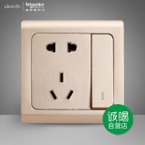 施耐德轻逸一开五孔（金）