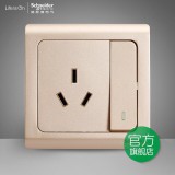 施耐德轻逸一开16A空调（金）