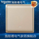 施耐德丰尚一开双（金）