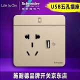 施耐德丰尚五孔USB（金）
