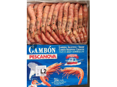 阿根廷L2红虾